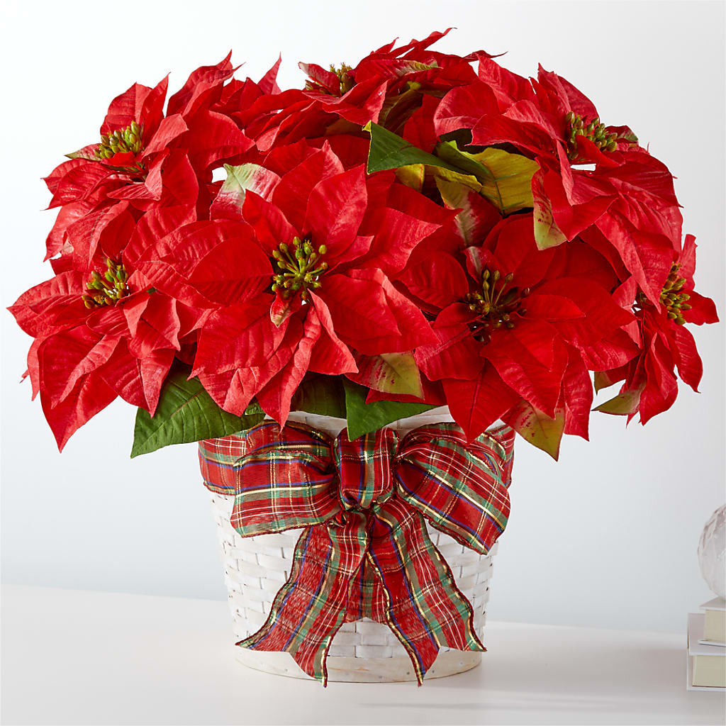 Happiest Holidays Poinsettia – Fleuristerie Marie-chantal, Shawinigan PQ