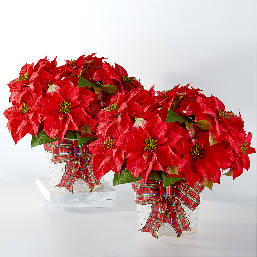 Happiest Holidays Poinsettia Bundle – Fleuristerie Marie-chantal, Shawinigan PQ