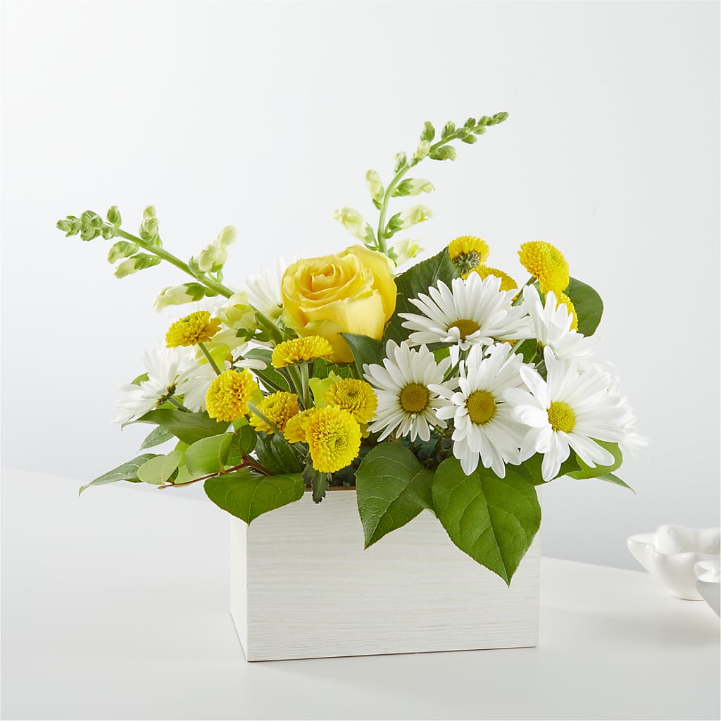 Sun Salutation Box Bouquet – Fleuristerie Marie-chantal, Shawinigan PQ