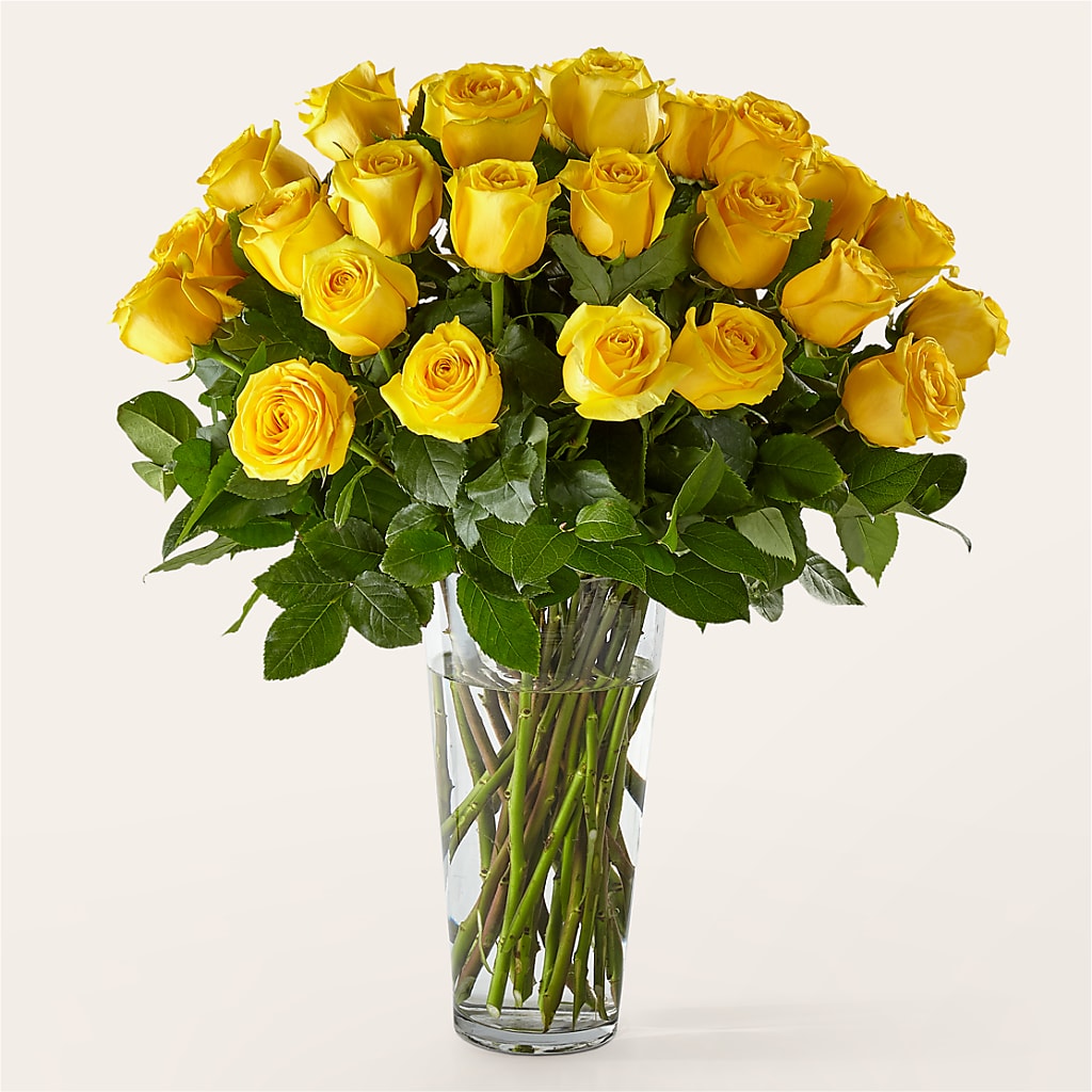Long Stem Yellow Rose Bouquet – Fleuristerie Marie-chantal, Shawinigan PQ