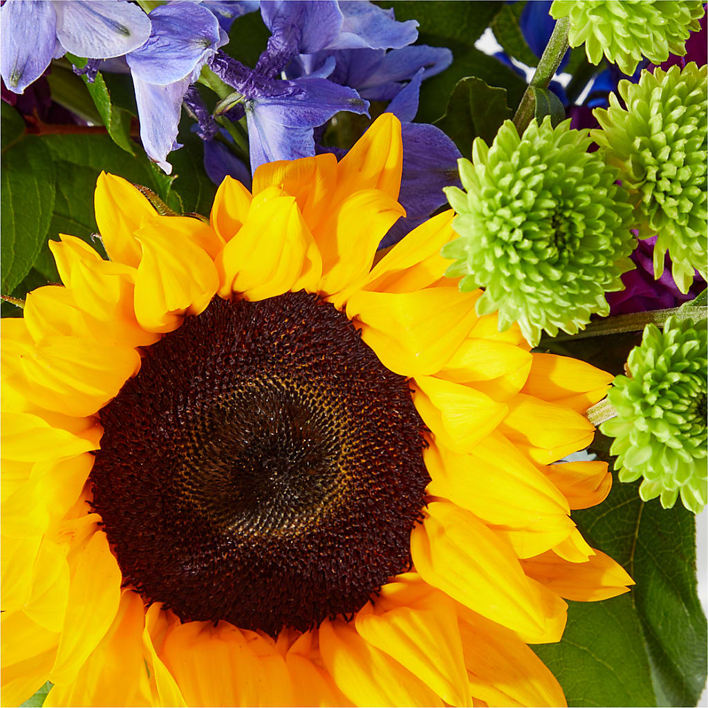 Catching Rays Bouquet – Fleuristerie Marie-chantal, Shawinigan PQ