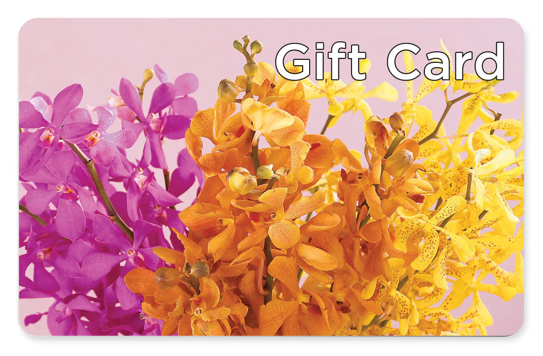 Gift Card – Fleuristerie Marie-chantal, Shawinigan PQ