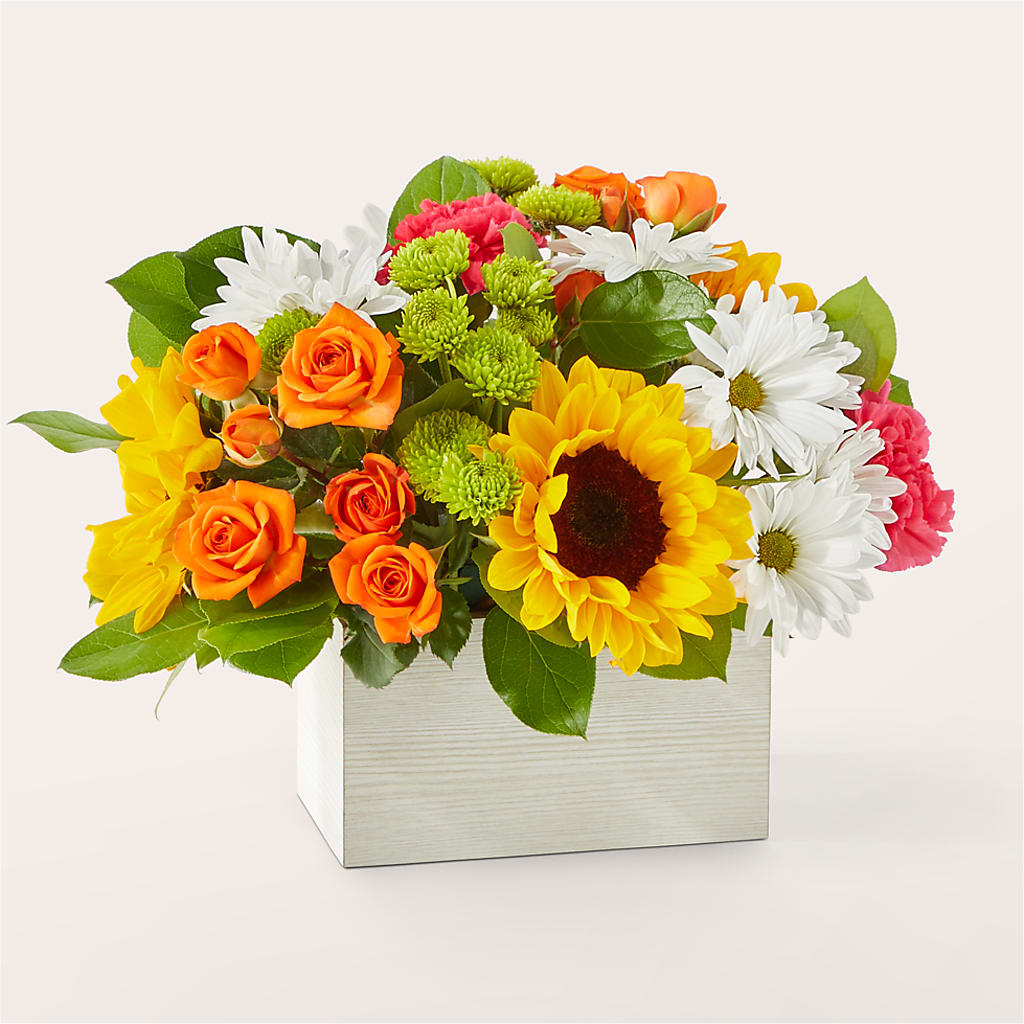 Sun-drenched Blooms Box Bouquet – Fleuristerie Marie-chantal, Shawinigan PQ