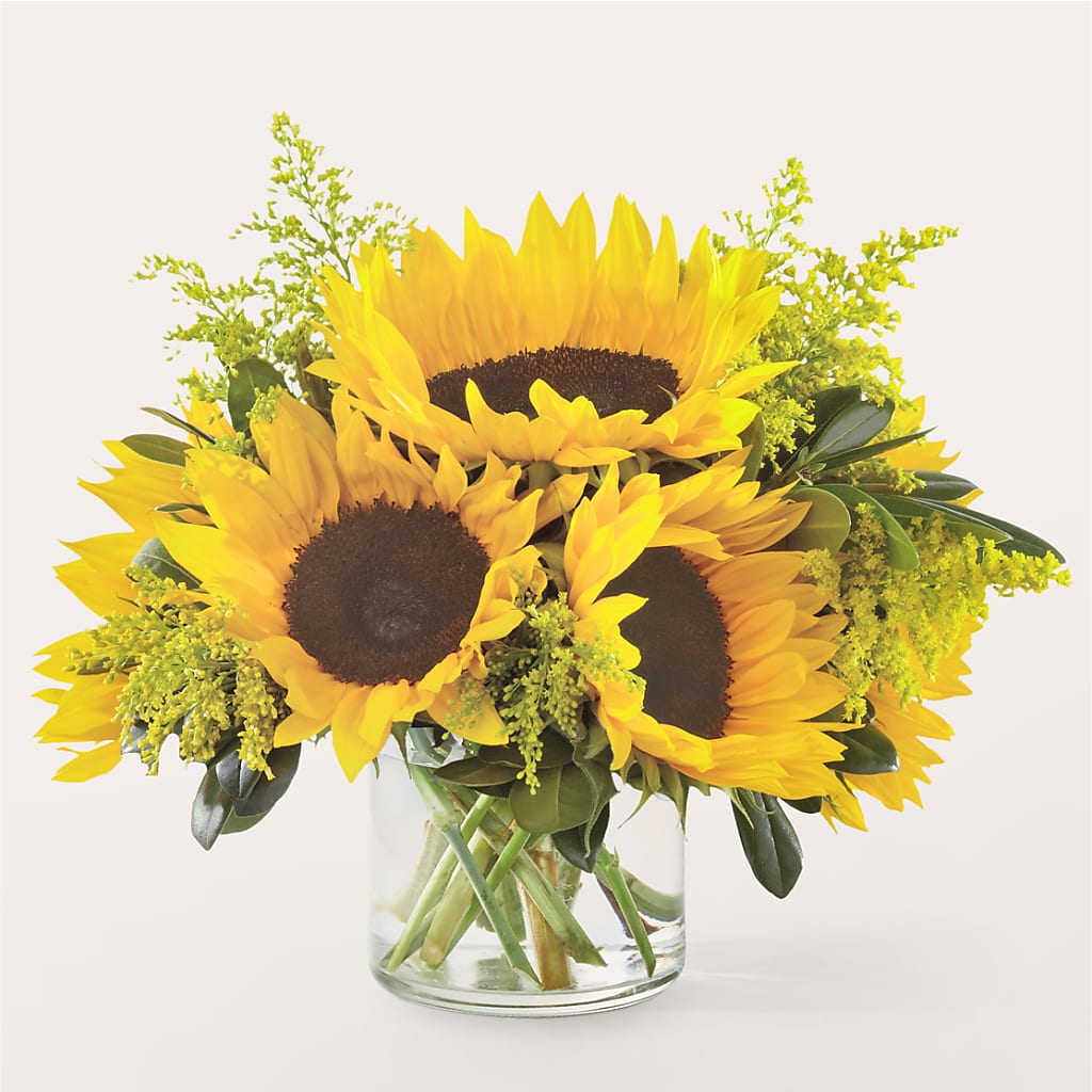 Beaming Sunflower Bouquet – Fleuristerie Marie-chantal, Shawinigan PQ