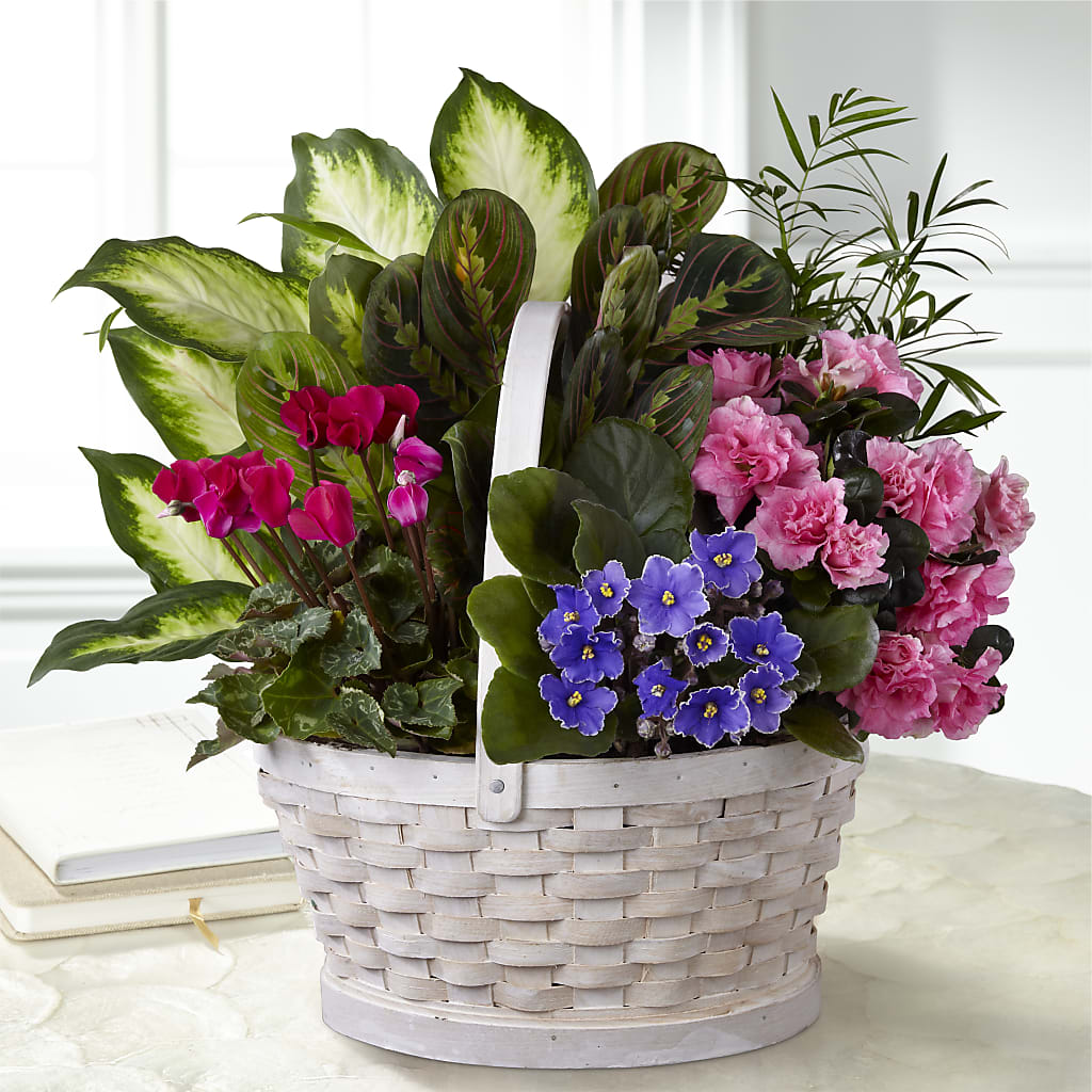 Peaceful Garden Planter – Fleuristerie Marie-chantal, Shawinigan PQ