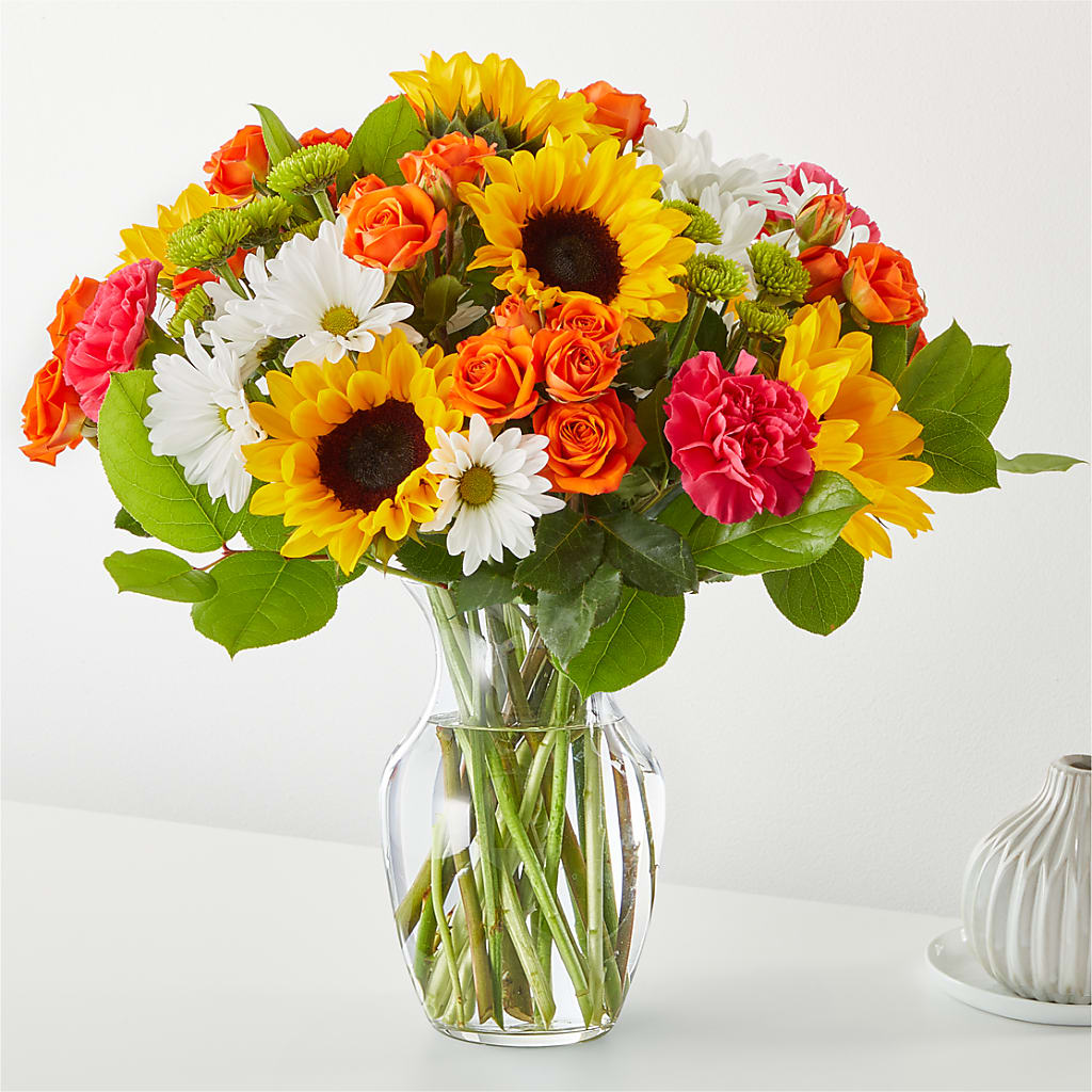 Bouquet de fleurs baignées de soleil