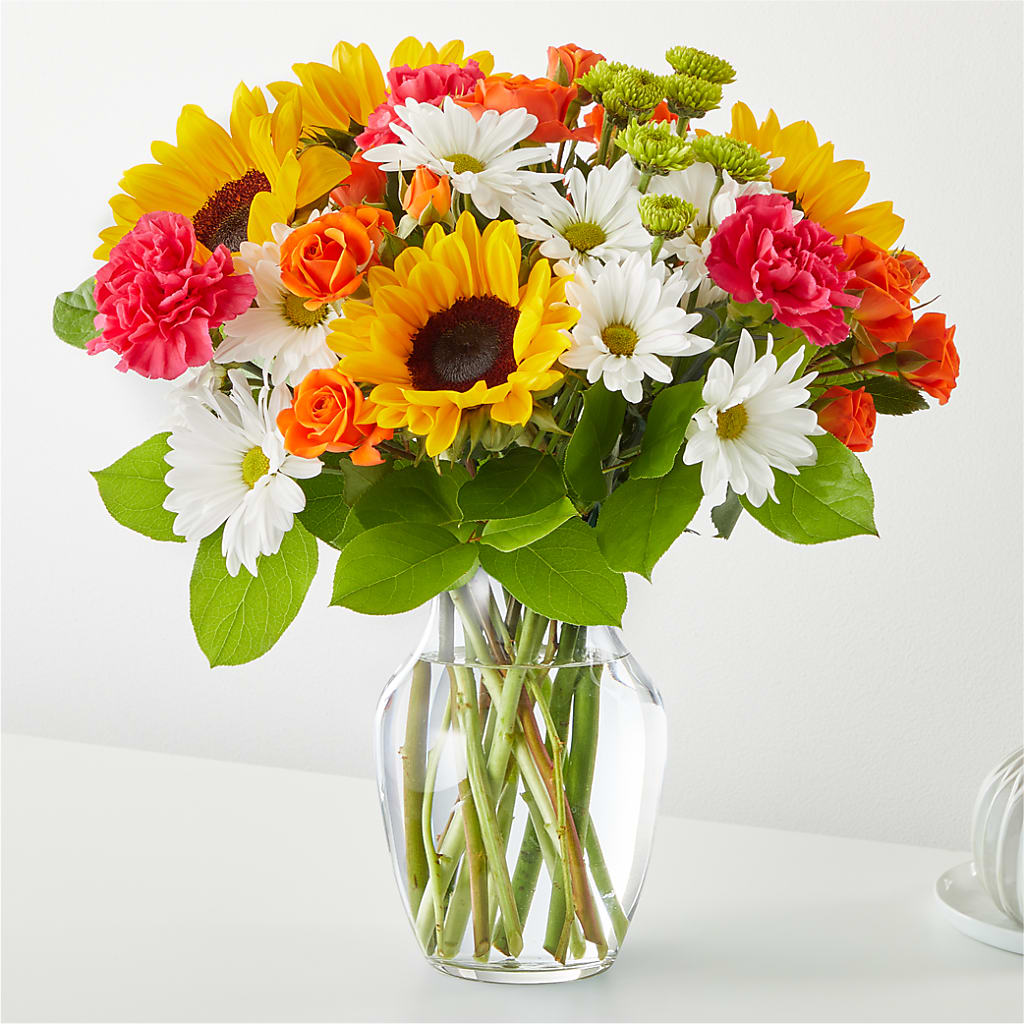 Bouquet de fleurs baignées de soleil