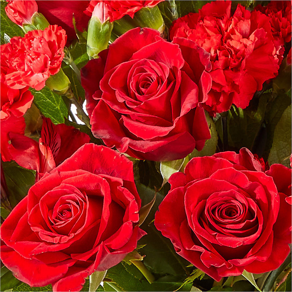 The Heartstrings Bouquet – Fleuristerie Marie-chantal, Shawinigan PQ