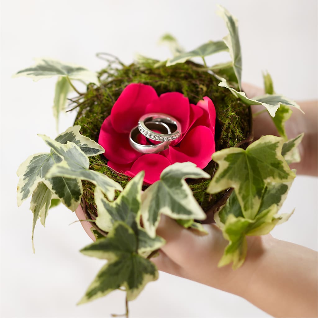 Lila Rose Ring Nest – Fleuristerie Marie-chantal, Shawinigan PQ