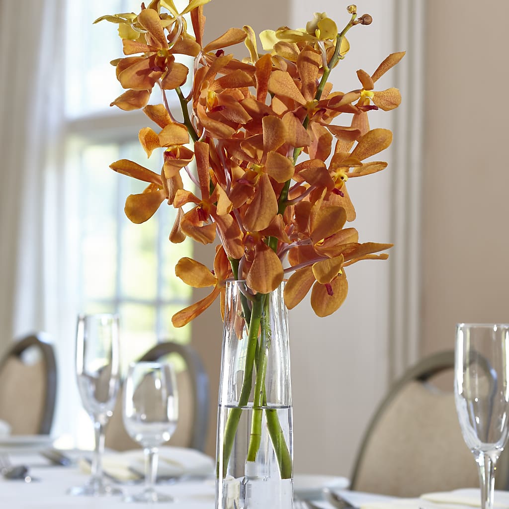 Orange Mokara Bud Vase – Fleuristerie Marie-chantal, Shawinigan PQ