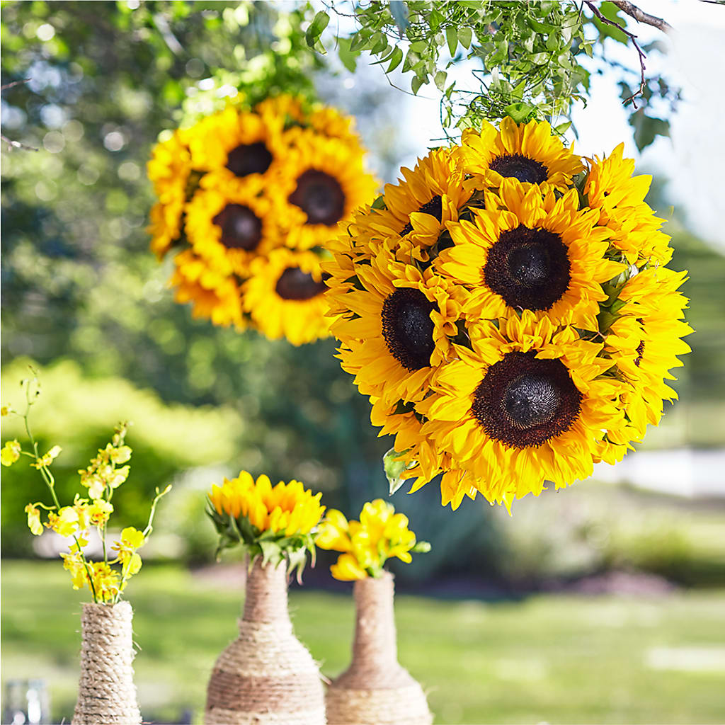 Sublime Garden Hanging Arrangement – Fleuristerie Marie-chantal, Shawinigan PQ