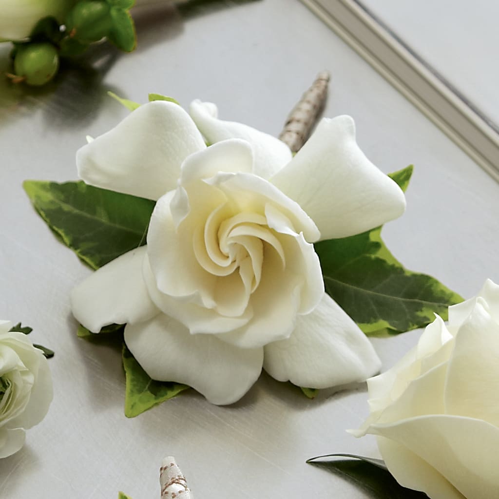 Gardenia Boutonniere – Fleuristerie Marie-chantal, Shawinigan PQ