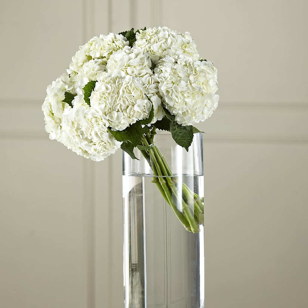 White Hydrangea Hand-Tied Bouquet – Fleuristerie Marie-chantal, Shawinigan PQ