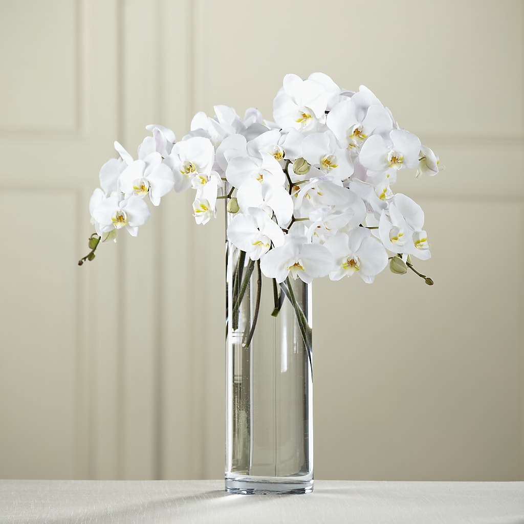 White Phalaenopsis Bouquet – Fleuristerie Marie-chantal, Shawinigan PQ