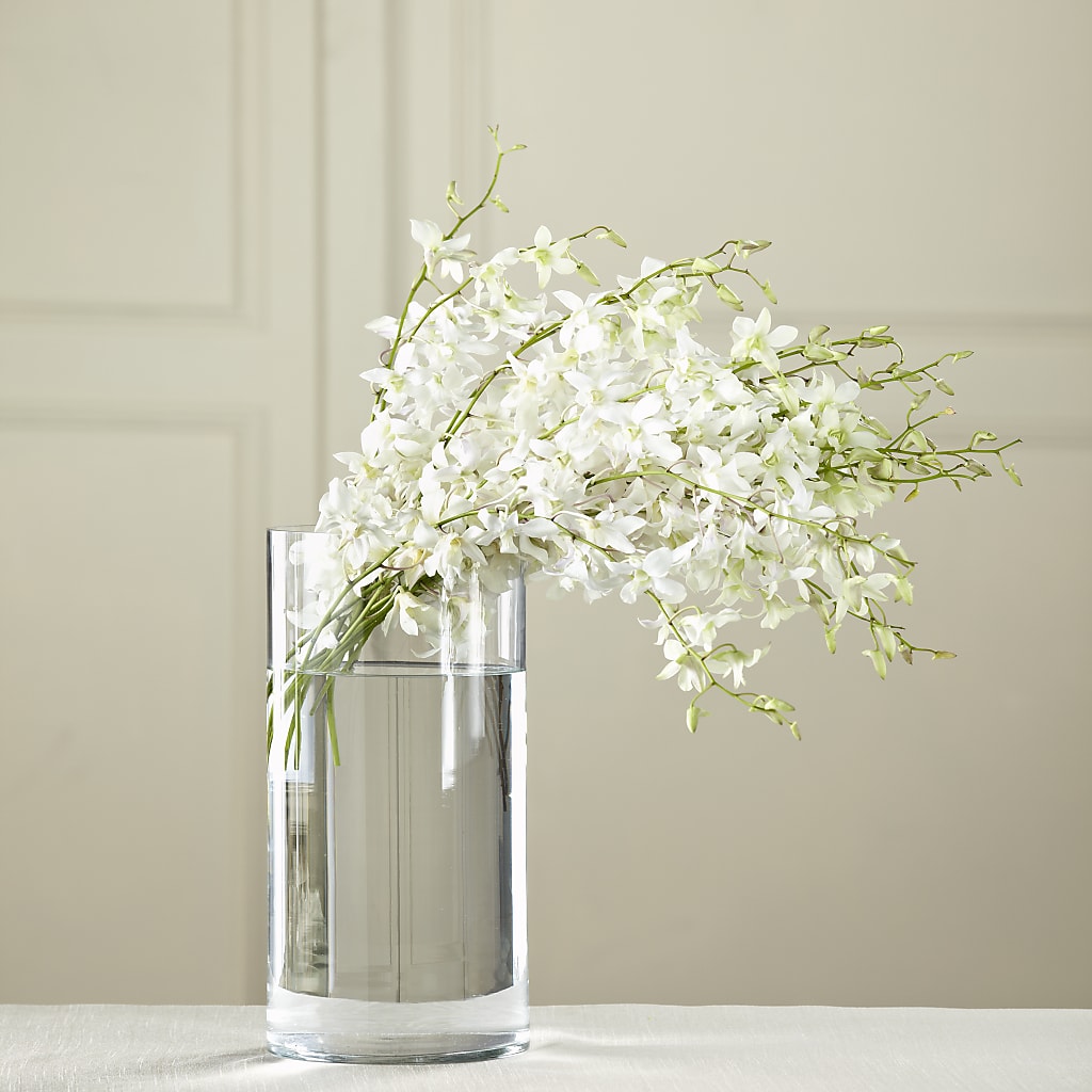 White Dendrobium Bouquet – Fleuristerie Marie-chantal, Shawinigan PQ