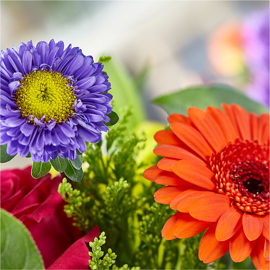 Bold & Bright – A Florist Original –  Fleuristerie Marie-chantal, Shawinigan PQ