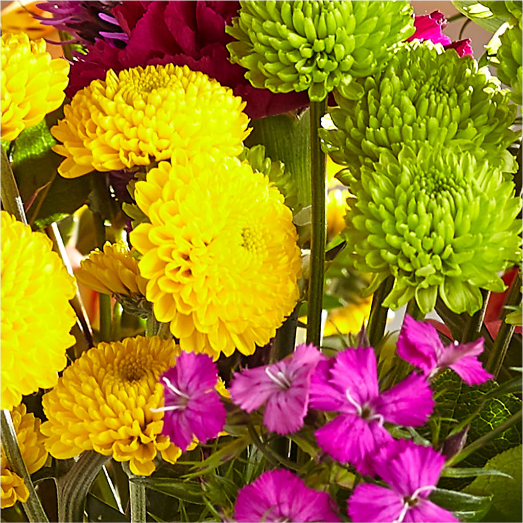 Bold & Bright – A Florist Original –  Fleuristerie Marie-chantal, Shawinigan PQ