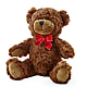 Adorable Plush Bear –  Fleuristerie Marie-chantal, Shawinigan PQ