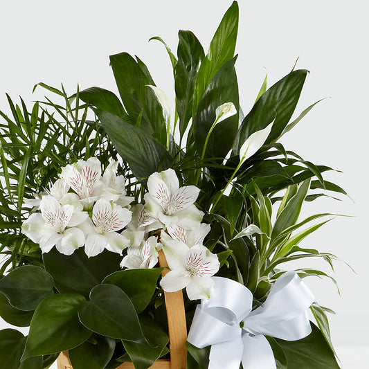 Peace & Serenity Dishgarden –  Fleuristerie Marie-chantal, Shawinigan PQ