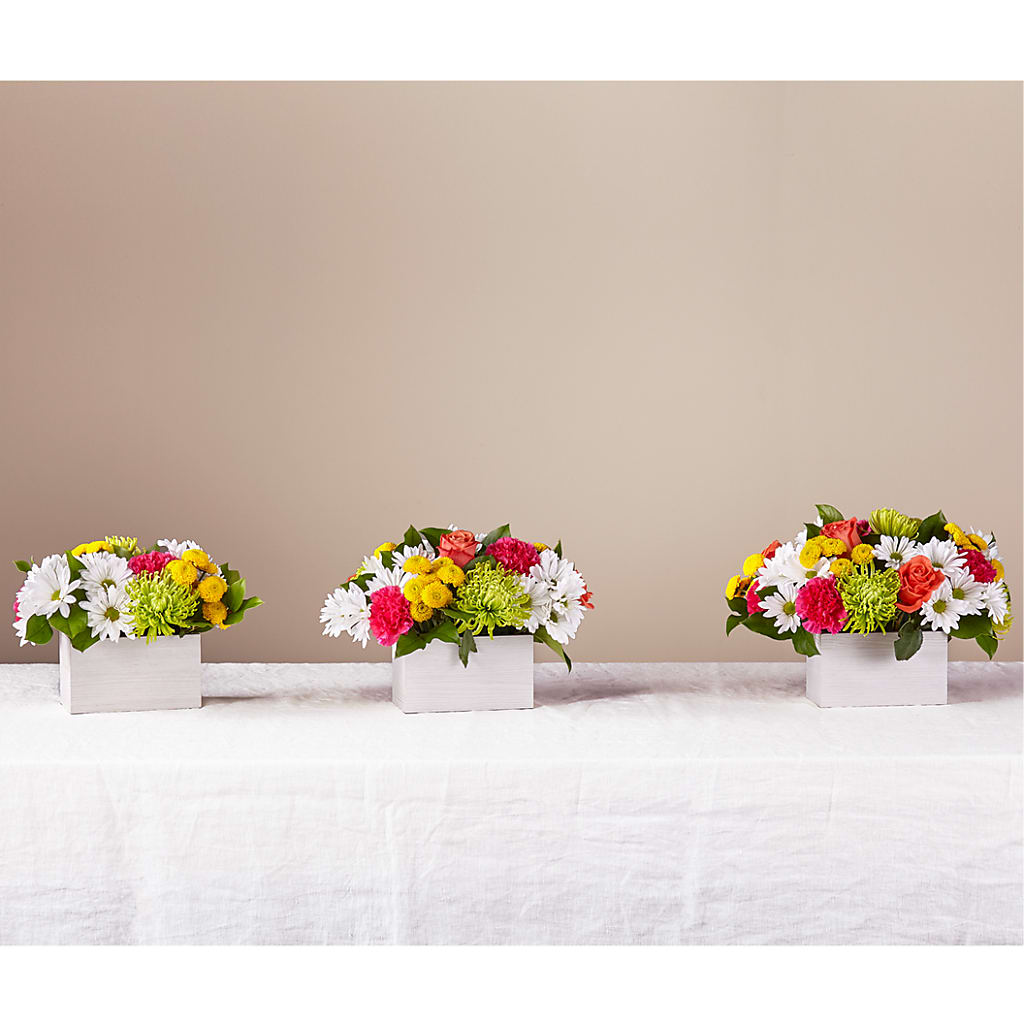 Sorbet Bouquet –  Fleuristerie Marie-chantal, Shawinigan PQ