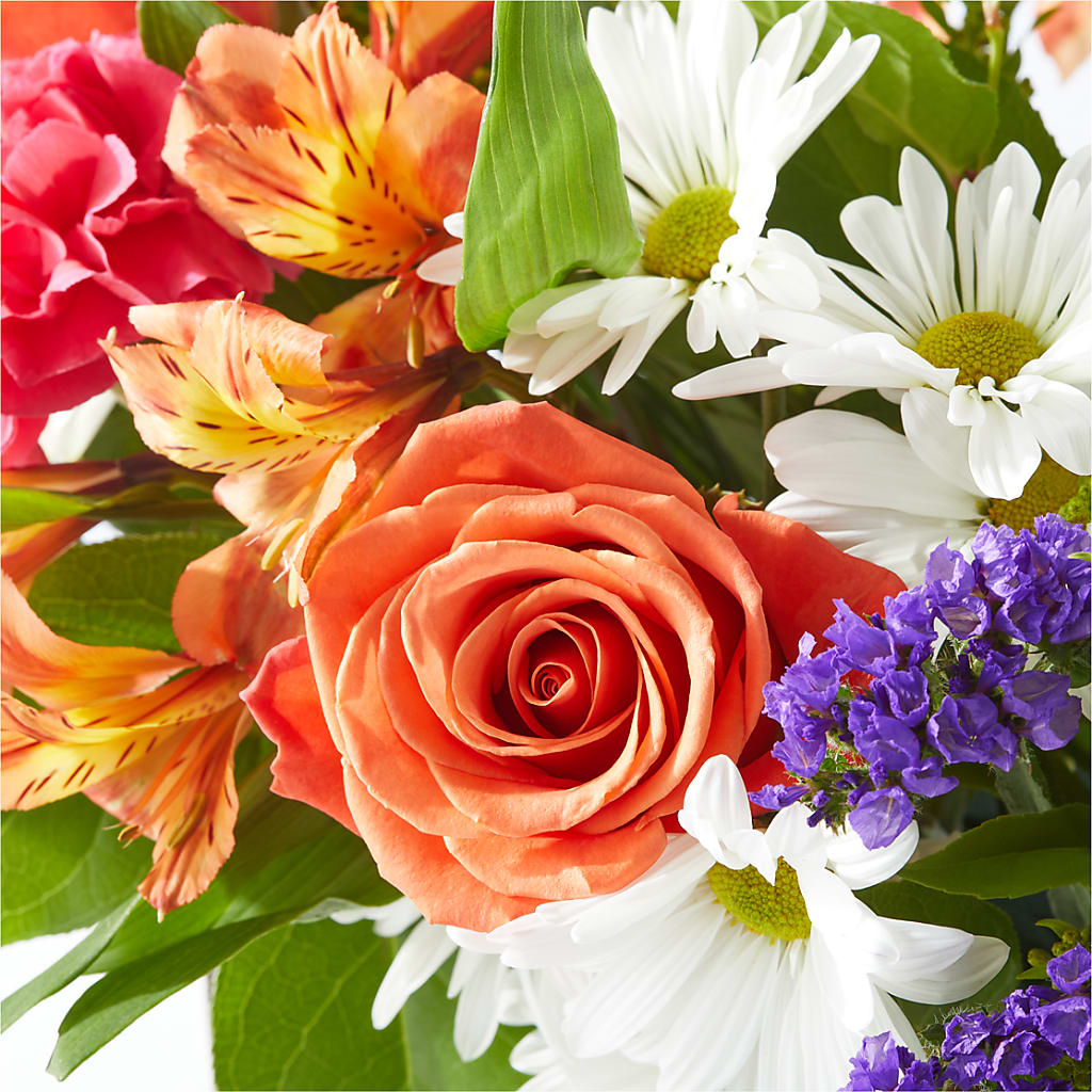 Oopsie Daisy Box Bouquet –  Fleuristerie Marie-chantal, Shawinigan PQ