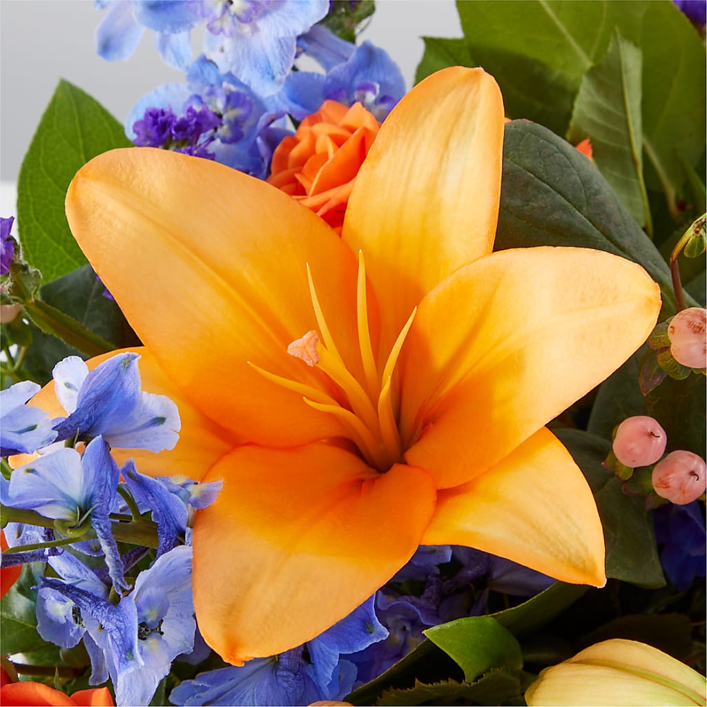 Radiant Citrus Box Bouquet –  Fleuristerie Marie-chantal, Shawinigan PQ