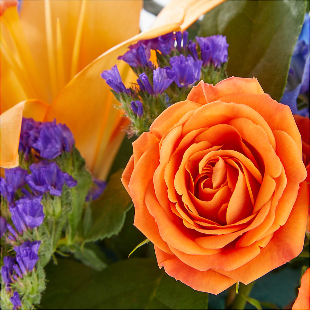 Radiant Citrus Box Bouquet –  Fleuristerie Marie-chantal, Shawinigan PQ
