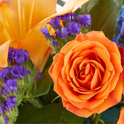 Radiant Citrus Box Bouquet –  Fleuristerie Marie-chantal, Shawinigan PQ