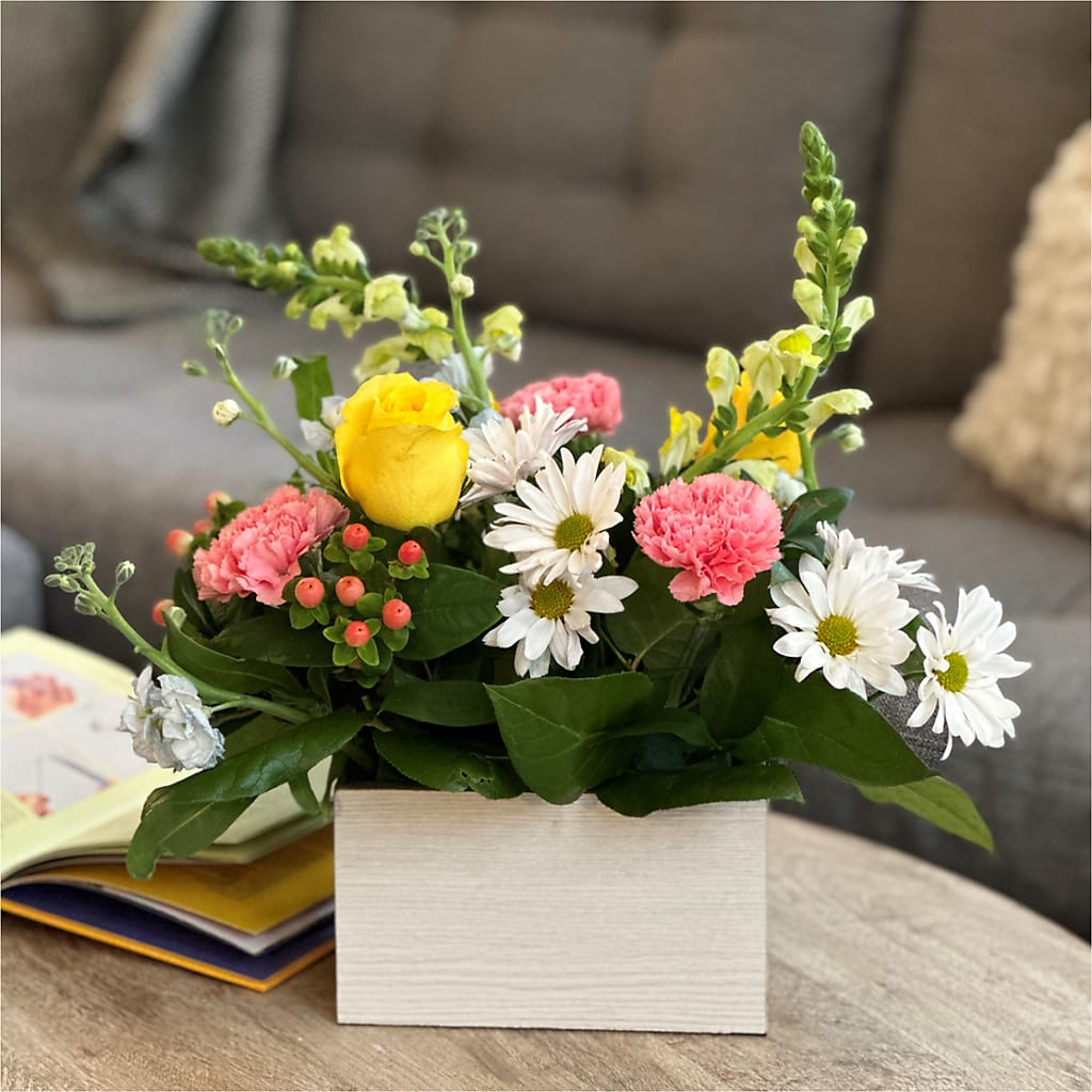 Sun Salutation Box Bouquet –  Fleuristerie Marie-chantal, Shawinigan PQ