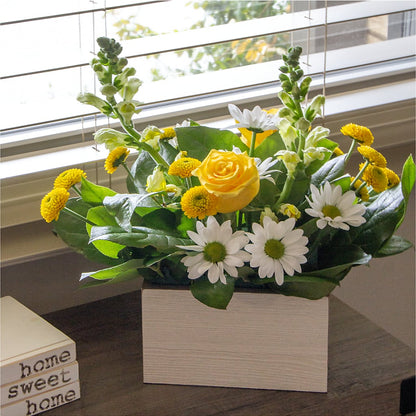 Sun Salutation Box Bouquet –  Fleuristerie Marie-chantal, Shawinigan PQ