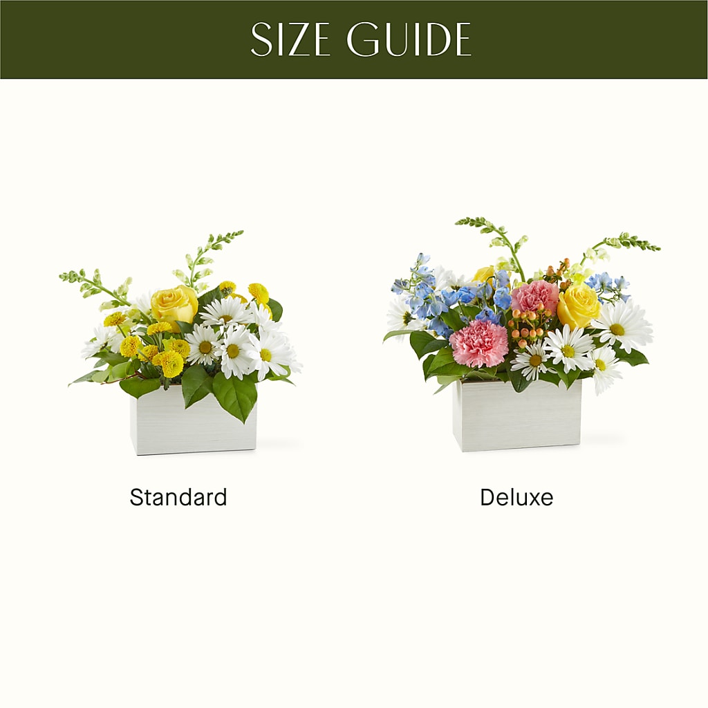 Sun Salutation Box Bouquet –  Fleuristerie Marie-chantal, Shawinigan PQ