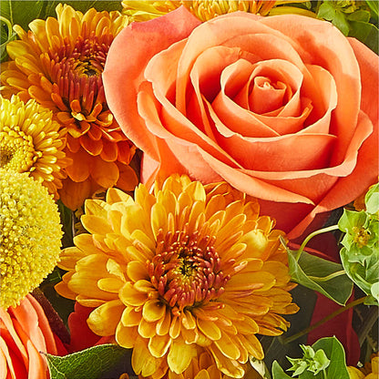 Gourdgeous Pumpkin –  Fleuristerie Marie-chantal, Shawinigan PQ