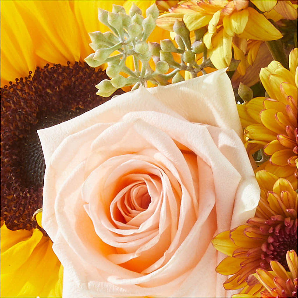 Pumpkin to Talk About Bouquet –  Fleuristerie Marie-chantal, Shawinigan PQ