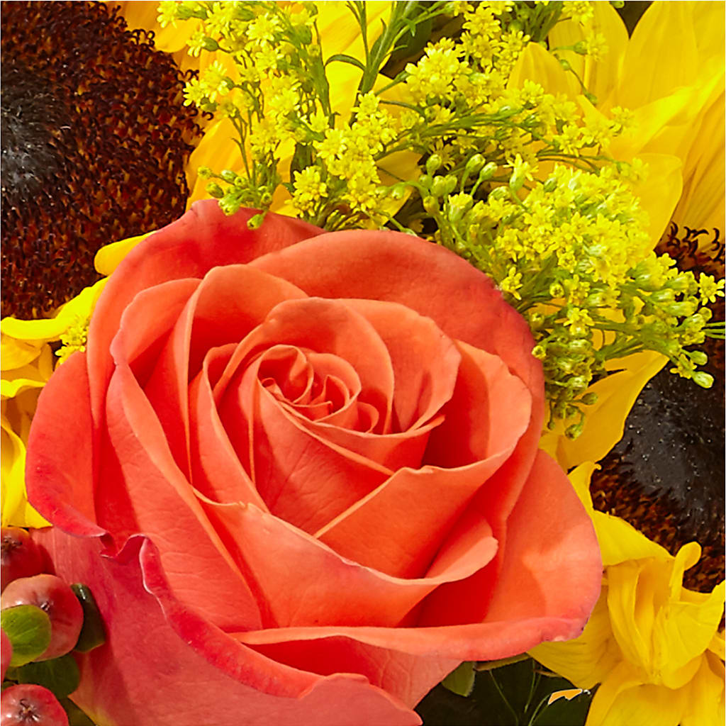 Pick of the Patch Pumpkin Bouquet –  Fleuristerie Marie-chantal, Shawinigan PQ