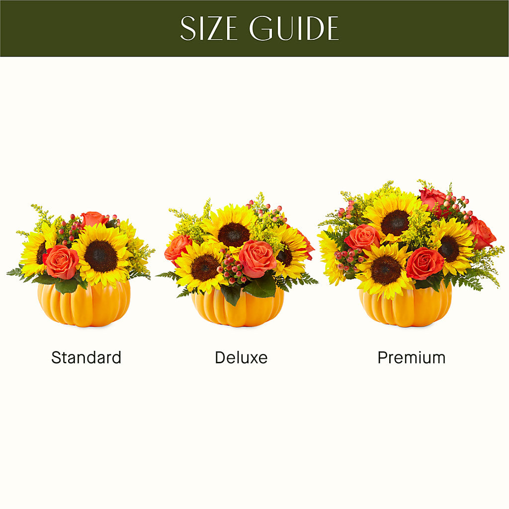 Pick of the Patch Pumpkin Bouquet –  Fleuristerie Marie-chantal, Shawinigan PQ