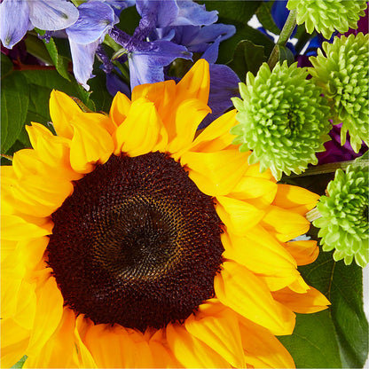 Catching Rays Bouquet –  Fleuristerie Marie-chantal, Shawinigan PQ
