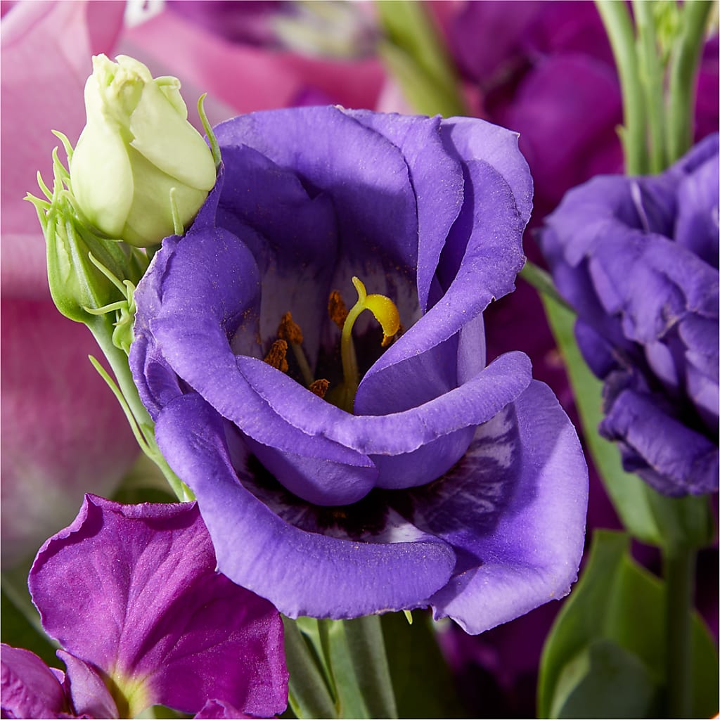 Twilight Glow Bouquet –  Fleuristerie Marie-chantal, Shawinigan PQ