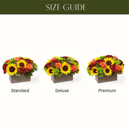 Happy Harvest Garden –  Fleuristerie Marie-chantal, Shawinigan PQ