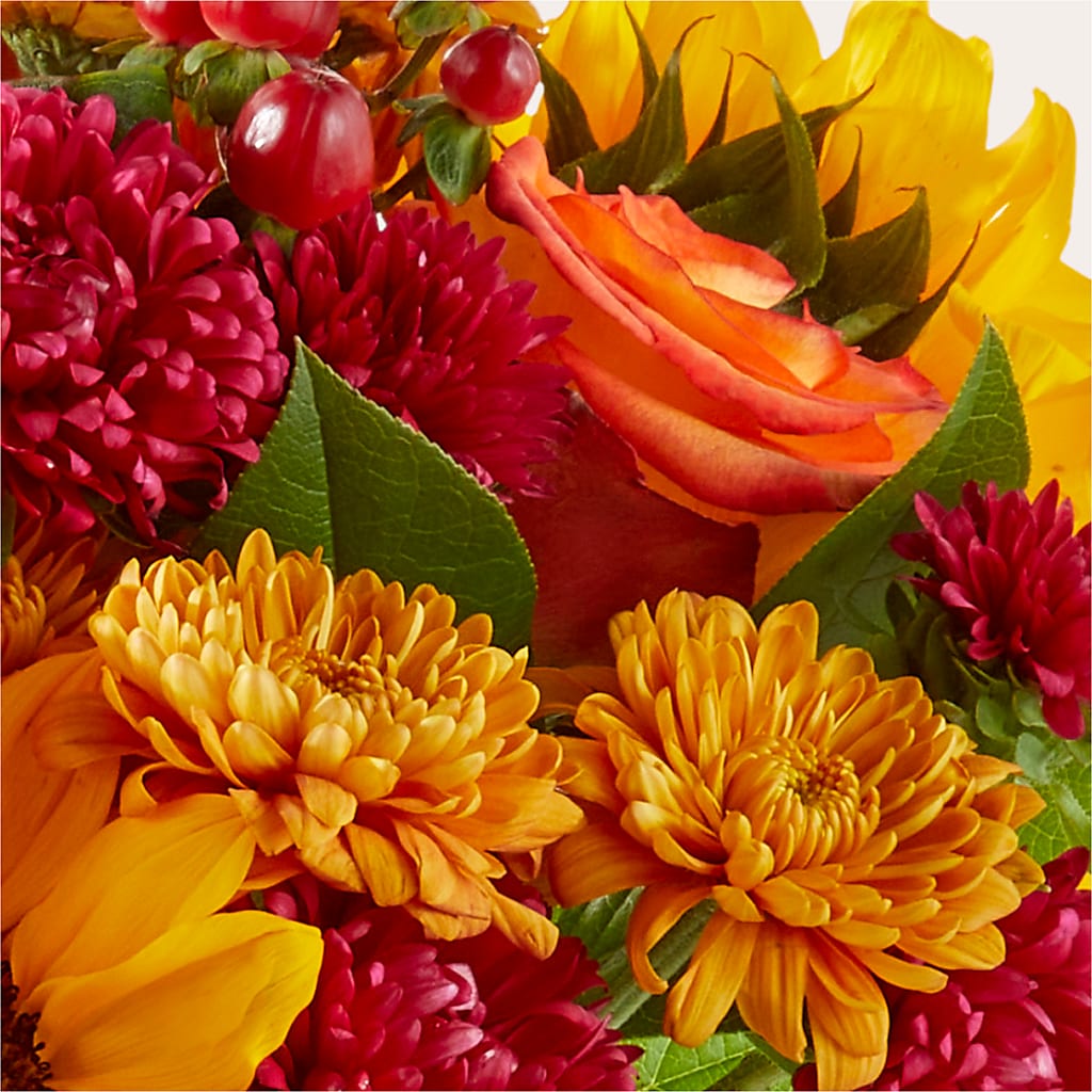 Sweater Season - A Florist Original –  Fleuristerie Marie-chantal, Shawinigan PQ