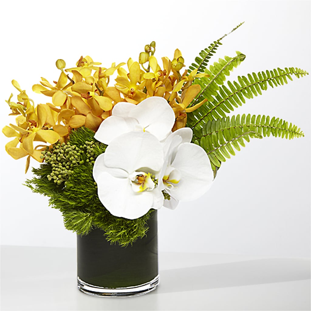 The Tropics –  Fleuristerie Marie-chantal, Shawinigan PQ