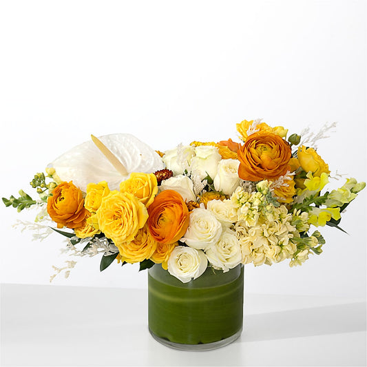 The Optimist –  Fleuristerie Marie-chantal, Shawinigan PQ