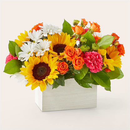 Sun-drenched Blooms Box Bouquet –  Fleuristerie Marie-chantal, Shawinigan PQ