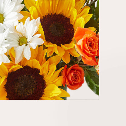 Sun-drenched Blooms Box Bouquet –  Fleuristerie Marie-chantal, Shawinigan PQ