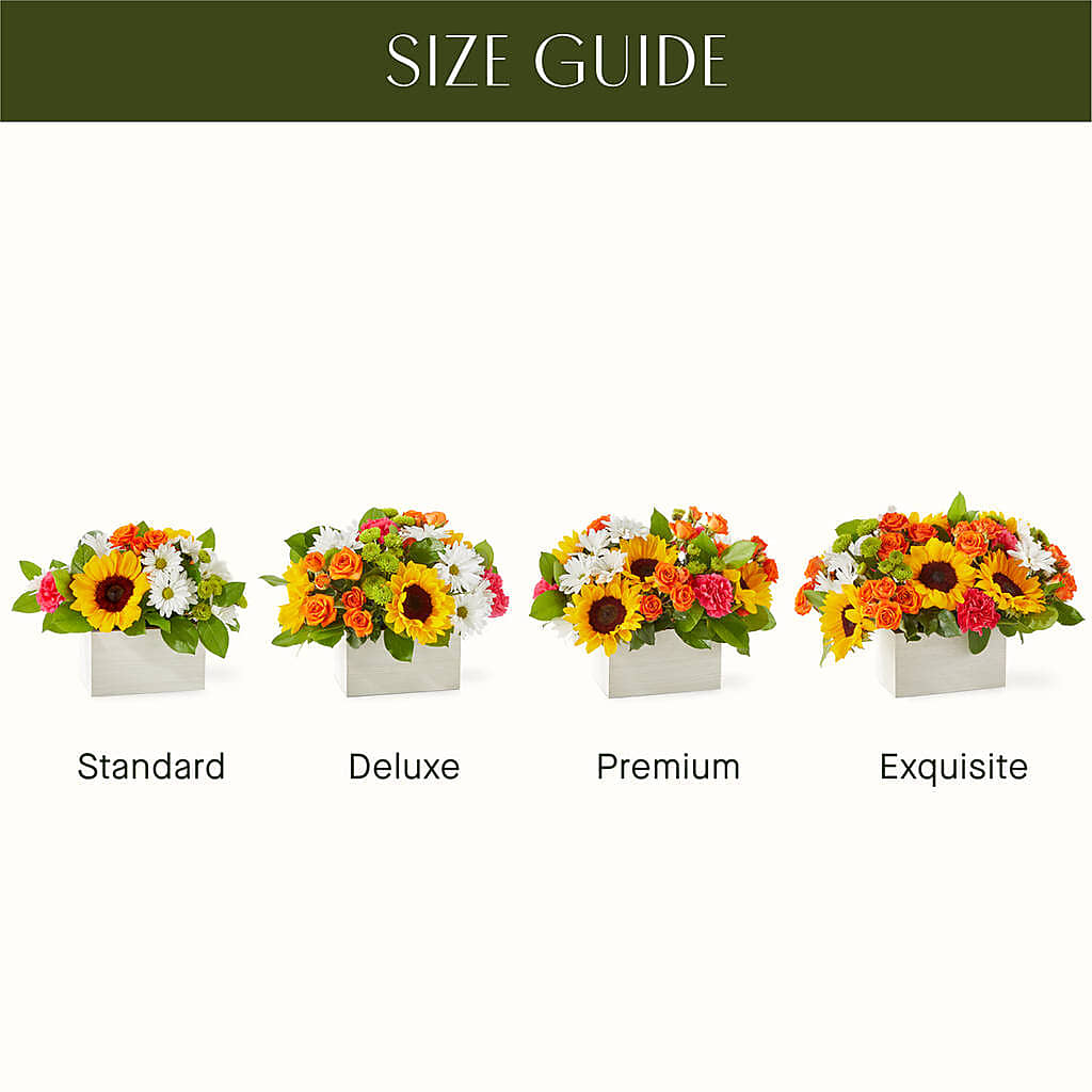 Sun-drenched Blooms Box Bouquet –  Fleuristerie Marie-chantal, Shawinigan PQ