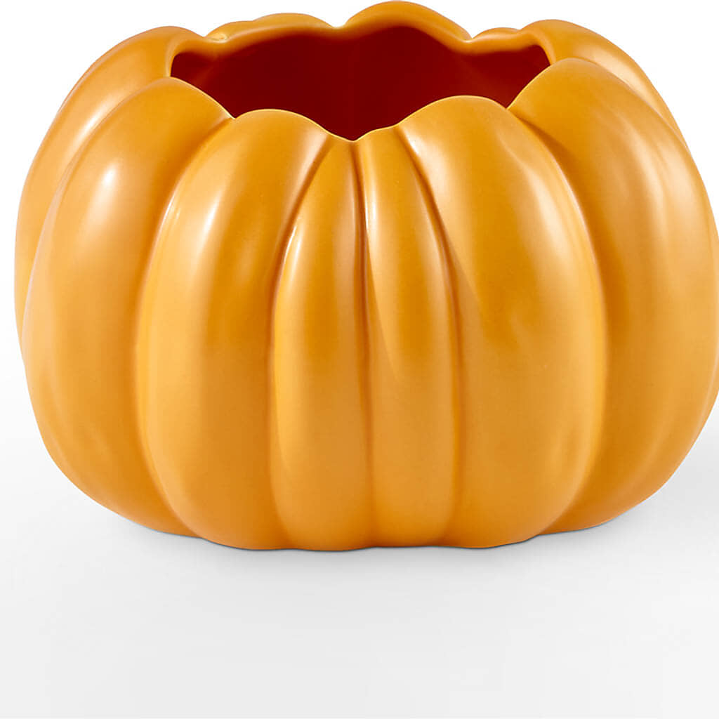Golden Gourd Pumpkin Bouquet –  Fleuristerie Marie-chantal, Shawinigan PQ