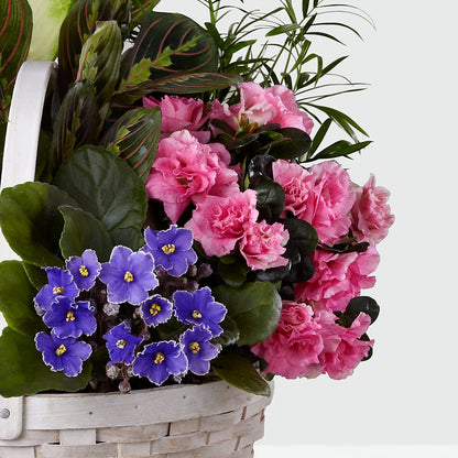 Peaceful Garden Planter –  Fleuristerie Marie-chantal, Shawinigan PQ