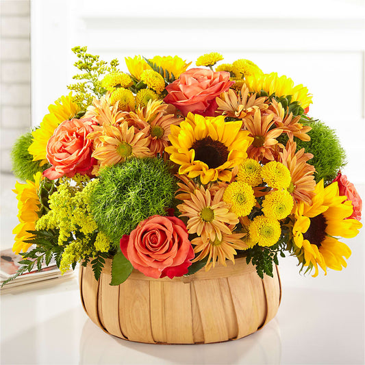 Harvest Sunflower Basket –  Fleuristerie Marie-chantal, Shawinigan PQ