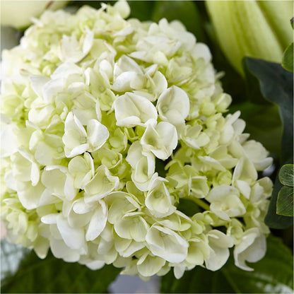 Classic Ivory – A Florist Original –  Fleuristerie Marie-chantal, Shawinigan PQ