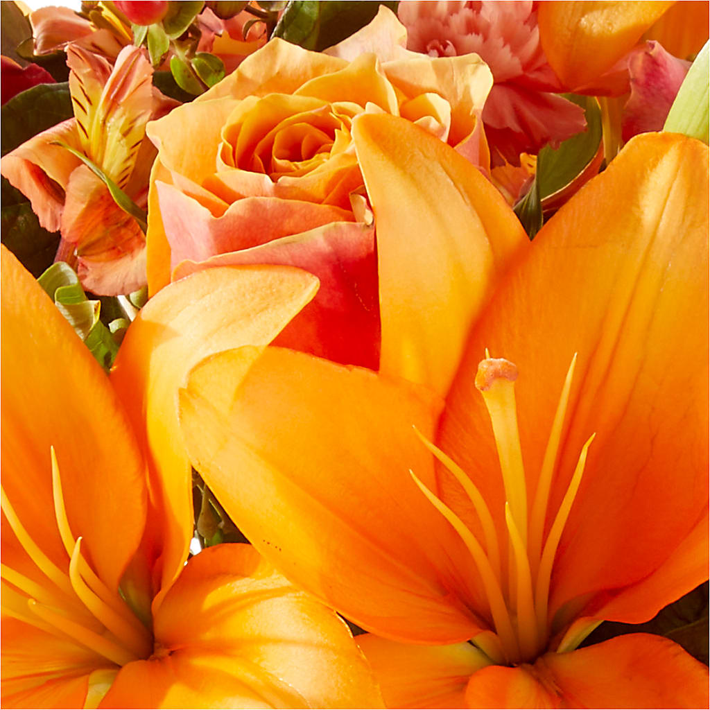 Afternoon Light Bouquet –  Fleuristerie Marie-chantal, Shawinigan PQ