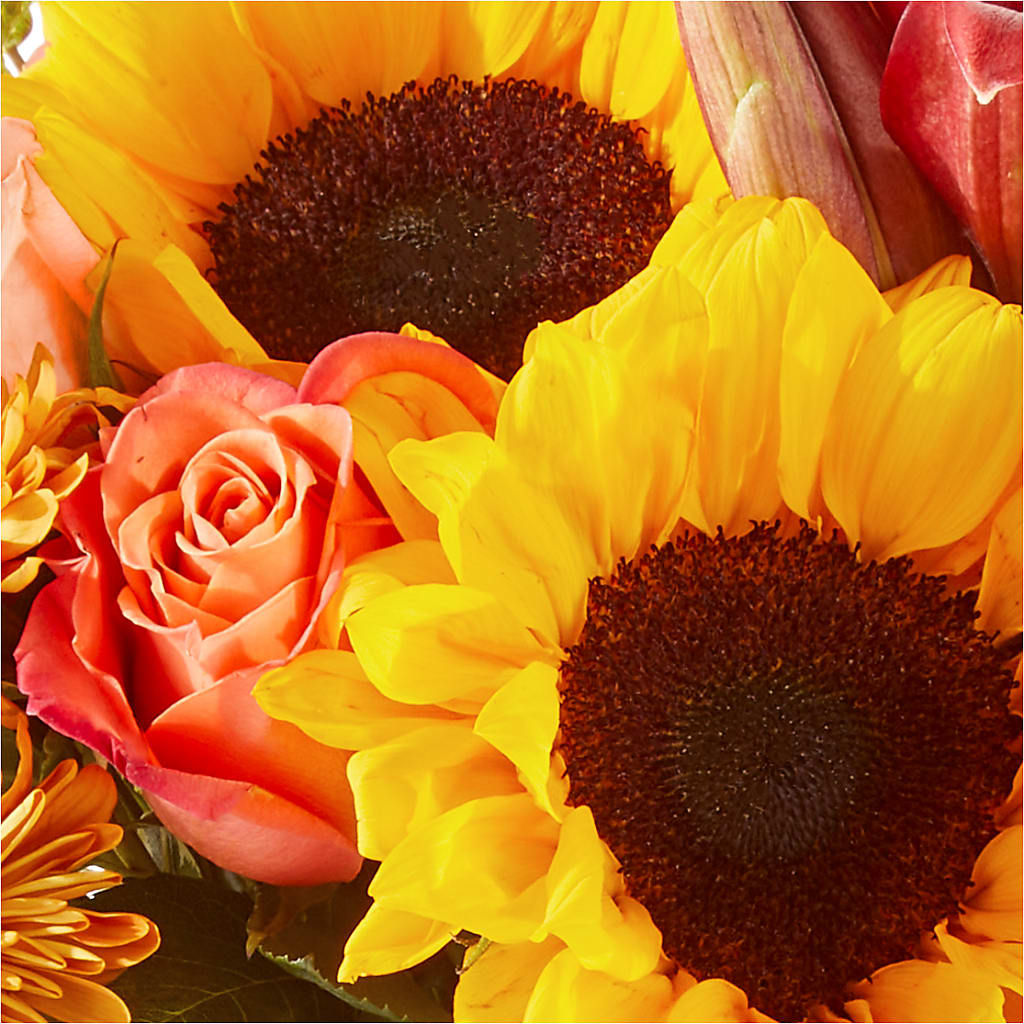 Acorn Lane Bouquet –  Fleuristerie Marie-chantal, Shawinigan PQ